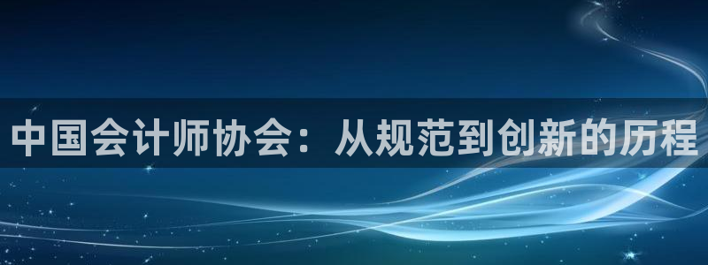 看二次元同人小说：中国会计师协会：从规范到创新的历程